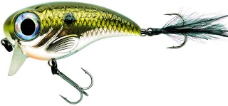 0001_Spro_Fat_Iris_60_[Shad].jpg